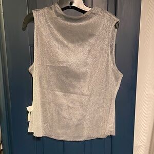 Silver Sleeveless Top